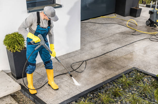 Best Roof Pressure Washing  in Shandon, CA
