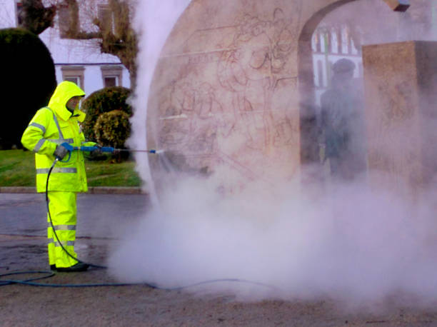 Best Roof Pressure Washing  in Shandon, CA