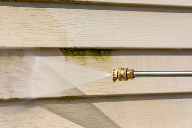 Best Pressure Washing Near Me  in Shandon, CA
