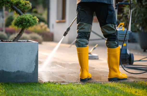 Best Affordable Pressure Washing  in Shandon, CA